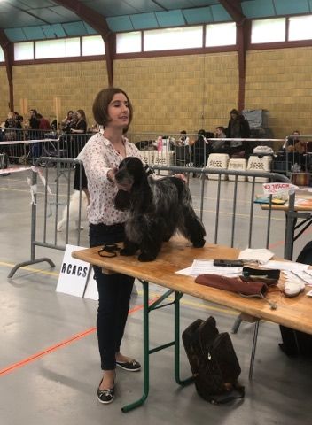 Féria (Sans Affixe) - 1ère excellente en classe Vétéran - BOBV