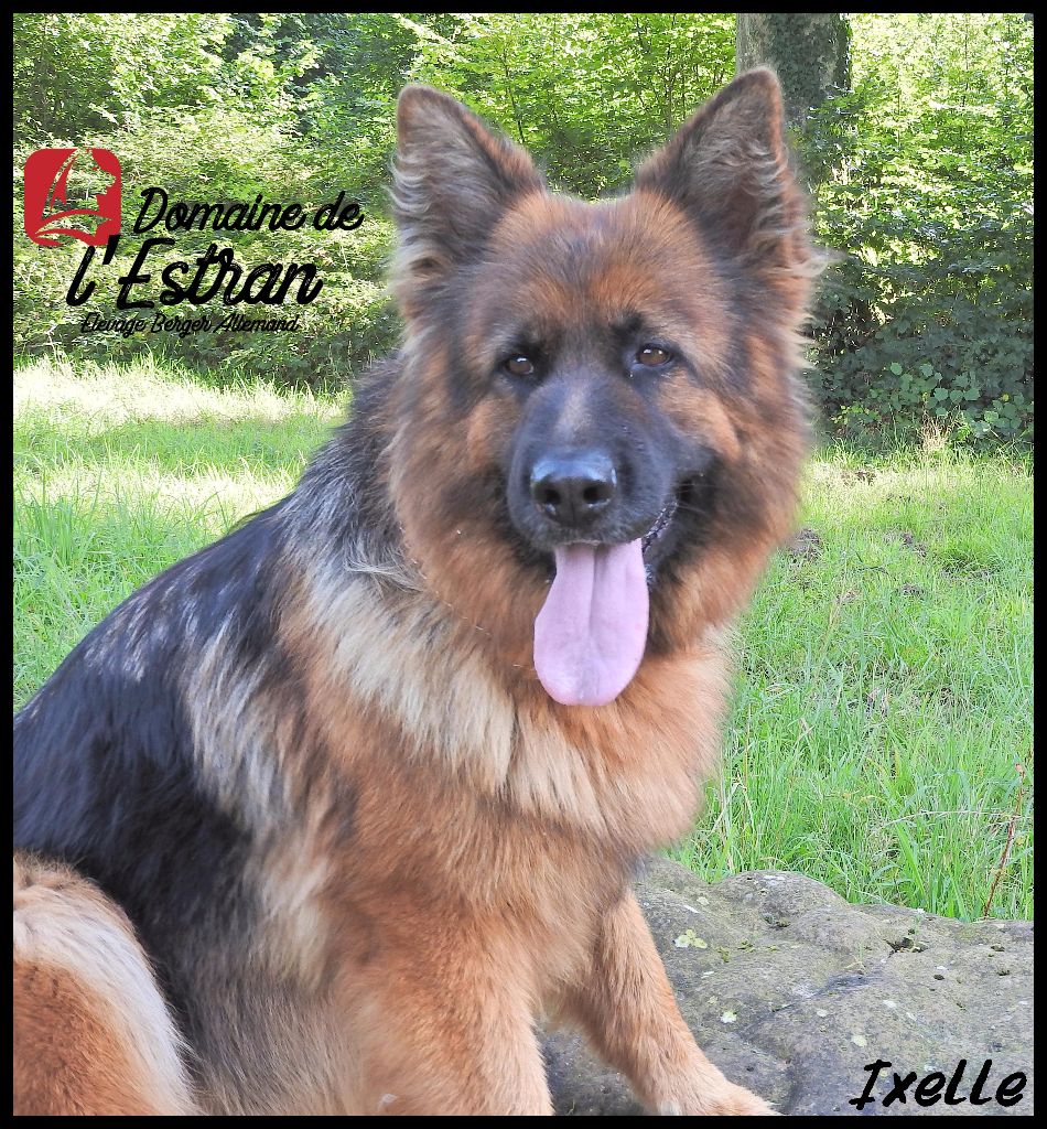 Publication : Du Domaine De L'Estran