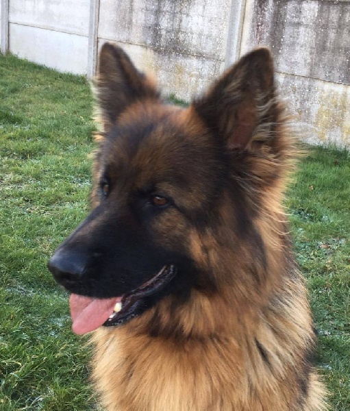 Publication : Du Domaine De L'Estran