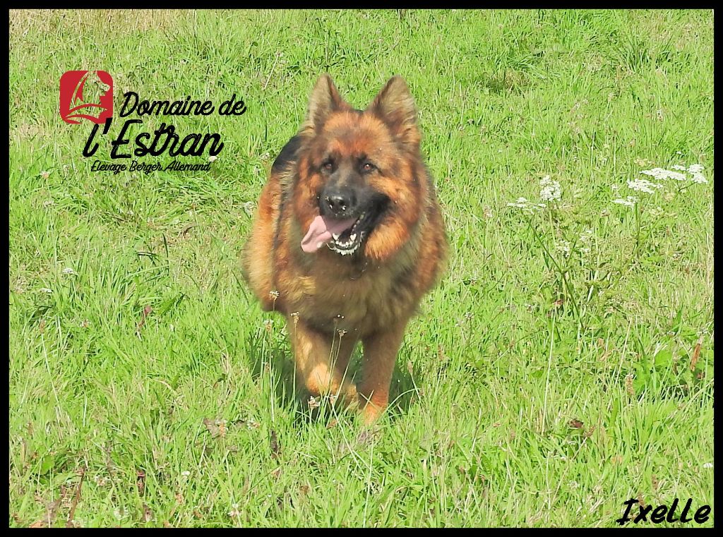 Publication : Du Domaine De L'Estran