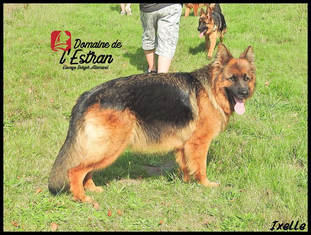 Publication : Du Domaine De L'Estran