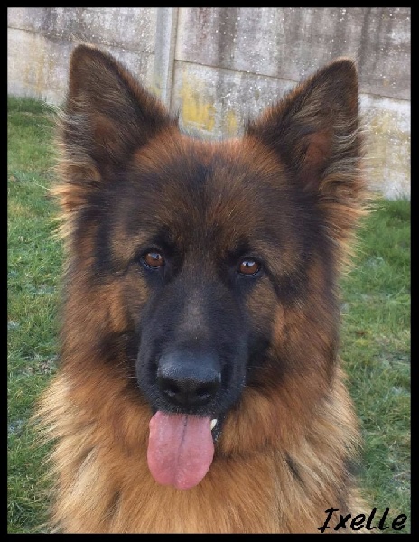 Publication : Du Domaine De L'Estran