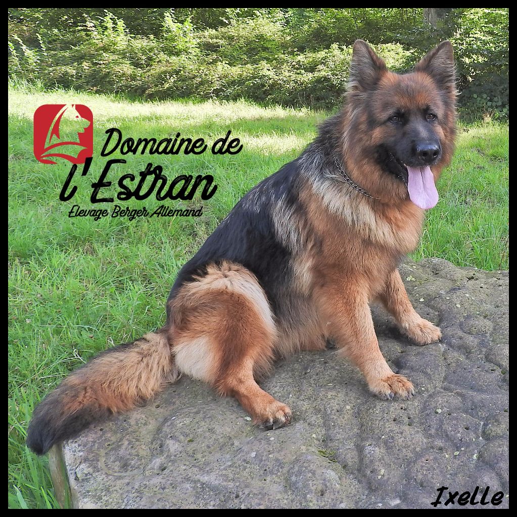 Publication : Du Domaine De L'Estran