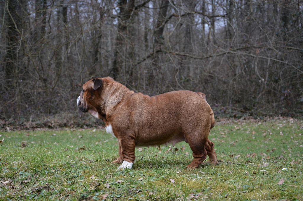 Publication : Edson Conqueror