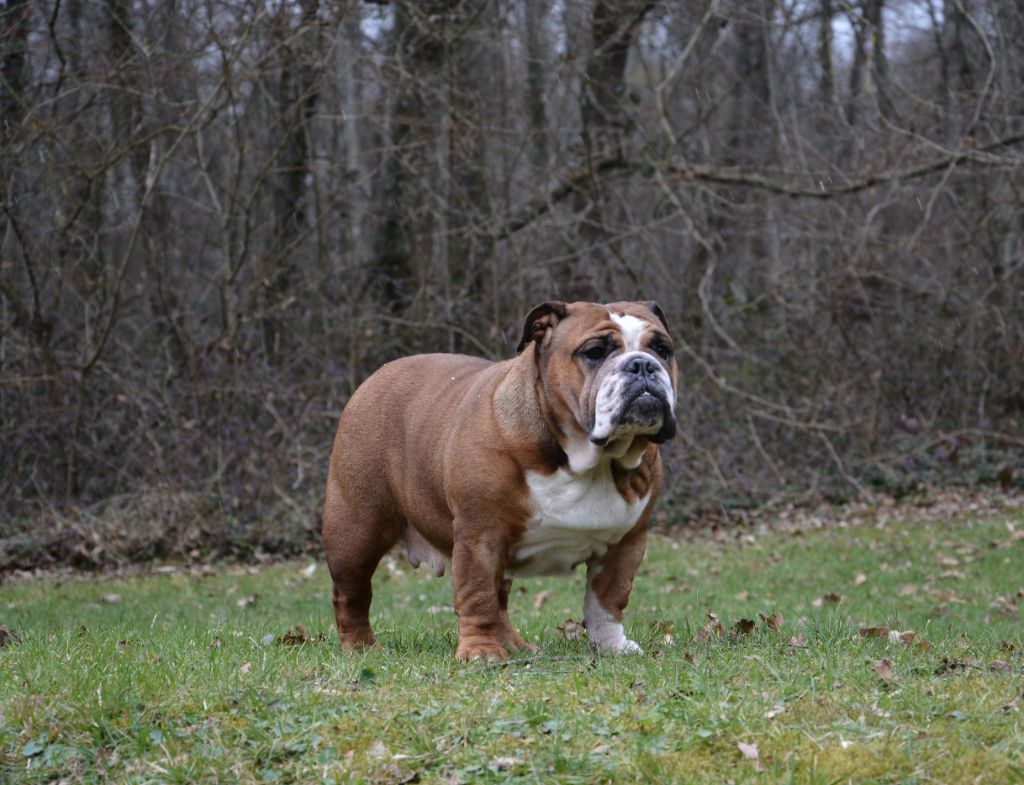 Publication : Edson Conqueror