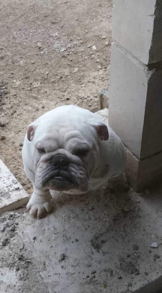 Publication : Edson Conqueror