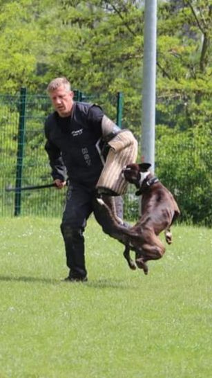 CH. Hagler Du Siecle Andalou - SELECTION-COT4