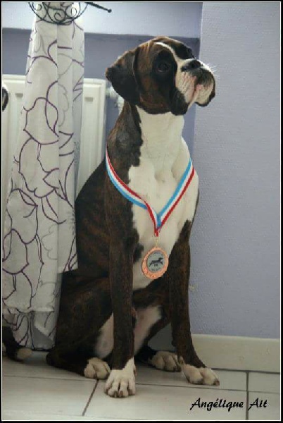 CH. Hagler Du Siecle Andalou - 4 TB