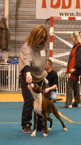 CH. Hagler Du Siecle Andalou - 4 ème TRÈS PROMETTEUR