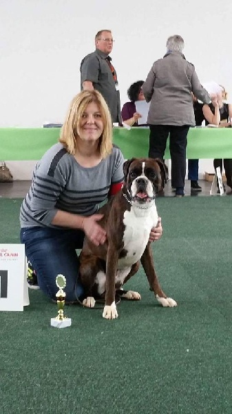 CH. Hagler Du Siecle Andalou - 1er excellent,anw.dtch.ch.VDH