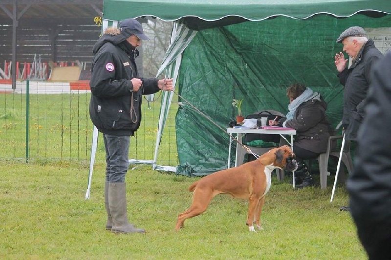 Inaya boxer del mar - excellent NC