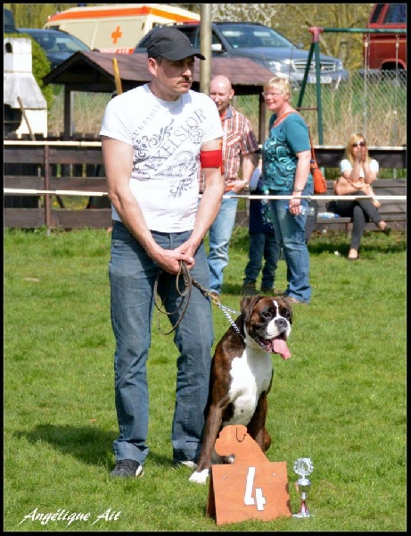 CH. Hagler Du Siecle Andalou - 4 ème EXCELLENT