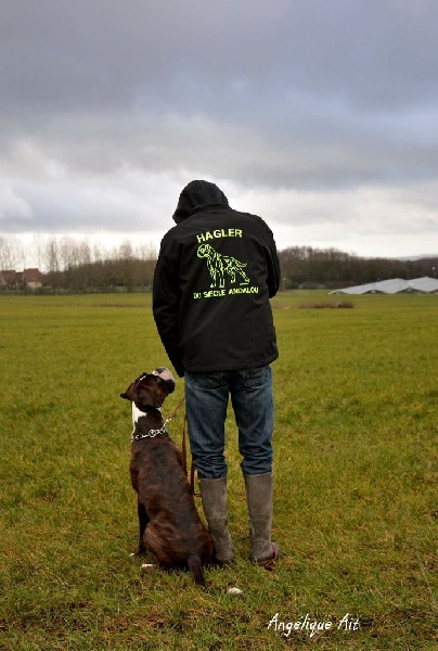 CH. Hagler Du Siecle Andalou - MENTION EXCELLENT