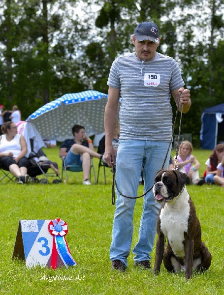 CH. Hagler Du Siecle Andalou - 3eme excellent