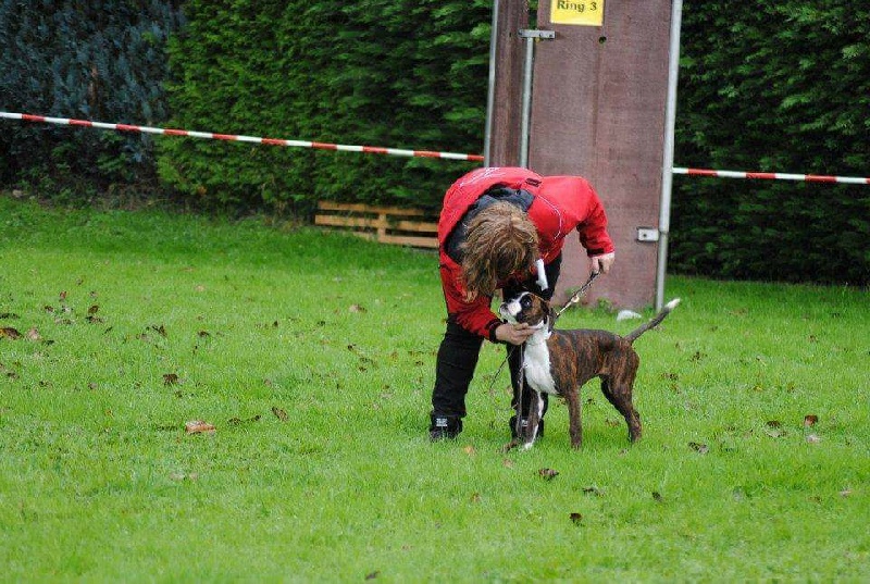 CH. Hagler Du Siecle Andalou - TRÈS PROMETTEUR
