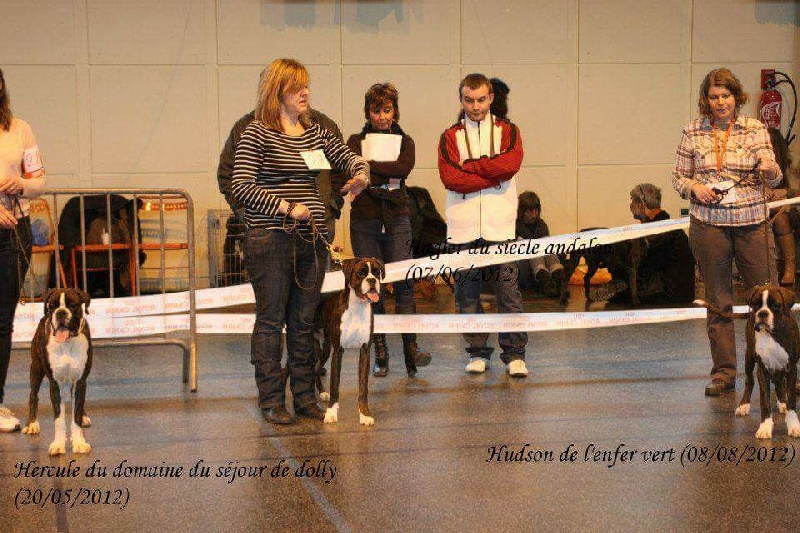 CH. Hagler Du Siecle Andalou - 4 ème TRÈS PROMETTEUR