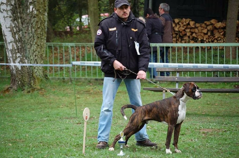 CH. Hagler Du Siecle Andalou - 2 ème TRÈS BON