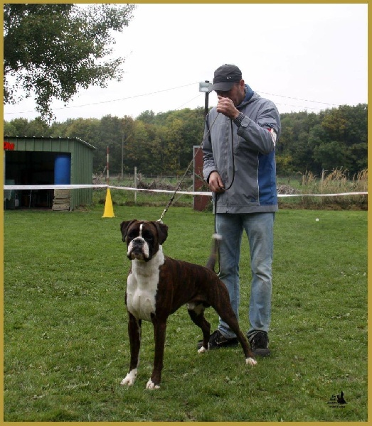 CH. Hagler Du Siecle Andalou - 3eme Excellent