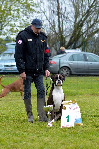 CH. Hagler Du Siecle Andalou - 1er excellent