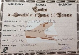 Silas de L'Arbre des Batailles - mention : très bon