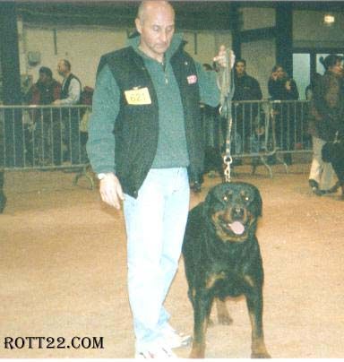 Silas de L'Arbre des Batailles - TB (classe ouverte)