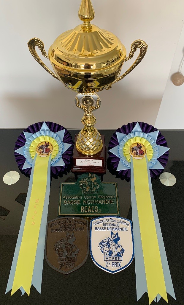 CH. special guest Ulla bloom - 3ème excellent classe inter