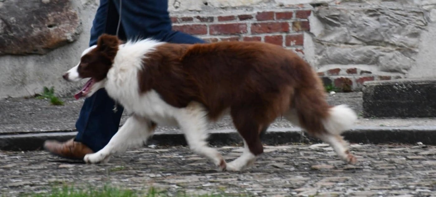 Publication : Of Pacific Spirit Auteur : Emma Dupont