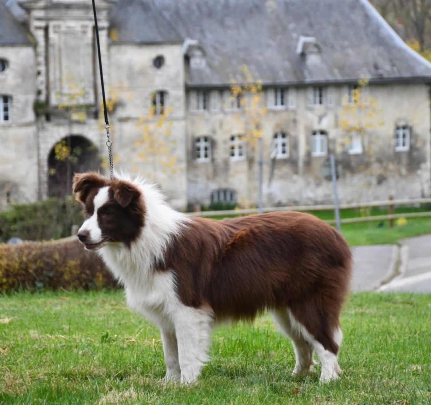 Publication : Of Pacific Spirit Auteur : Emma Dupont