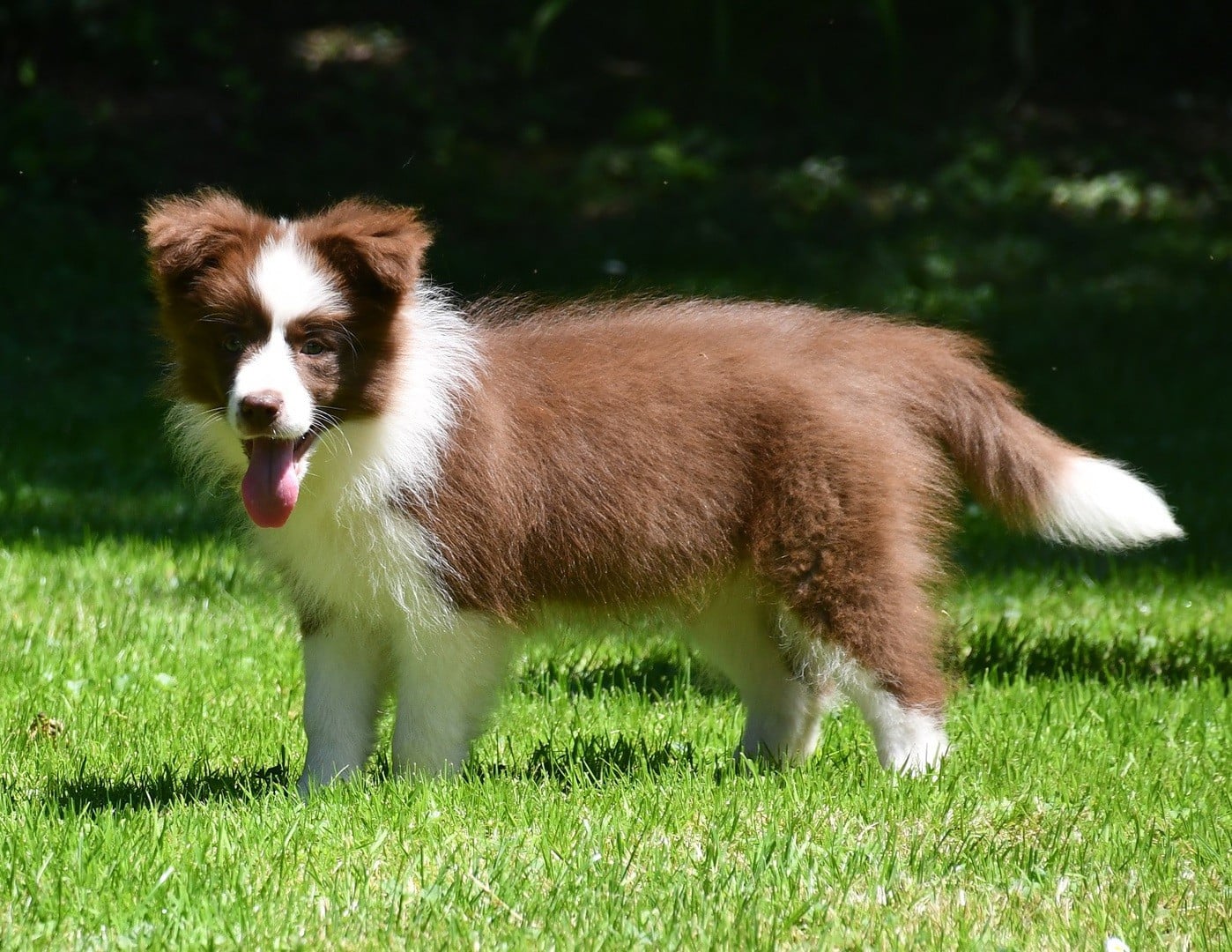 Publication : Of Pacific Spirit Auteur : Emma Dupont