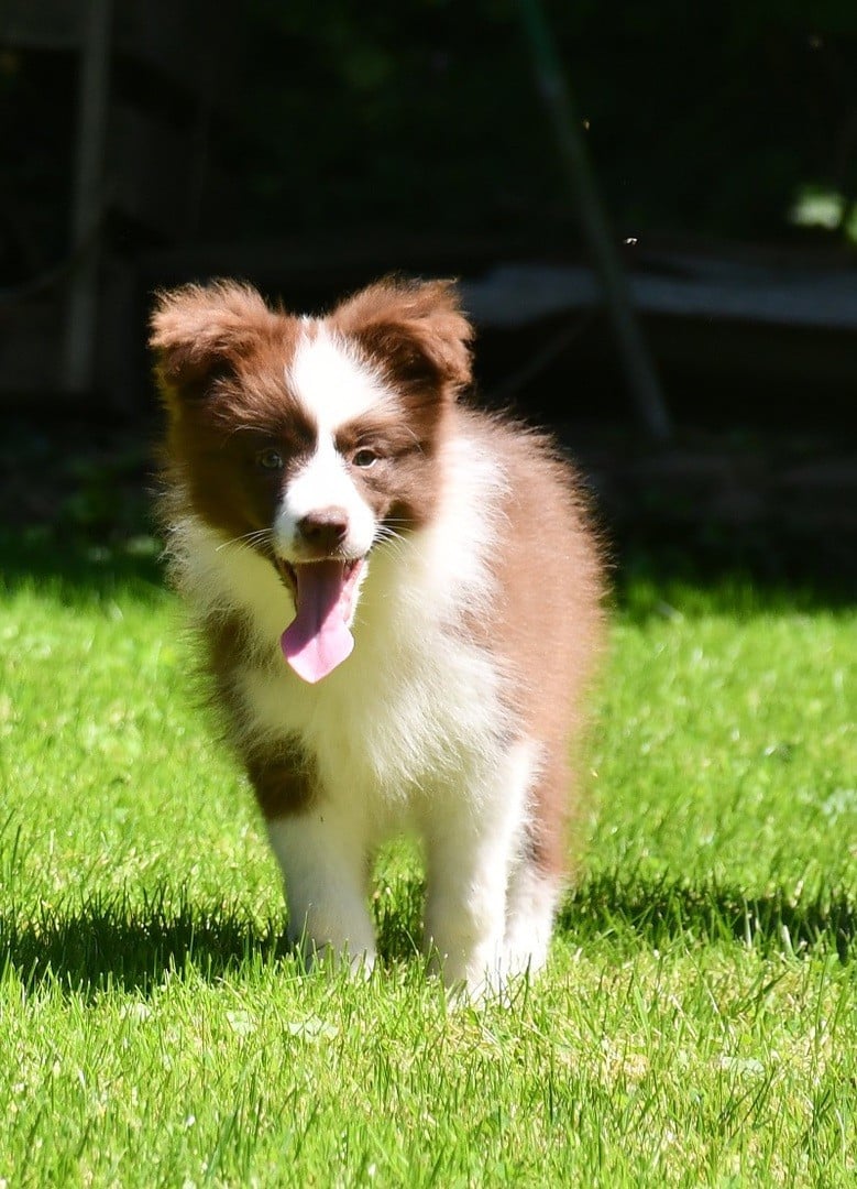 Publication : Of Pacific Spirit Auteur : Emma Dupont