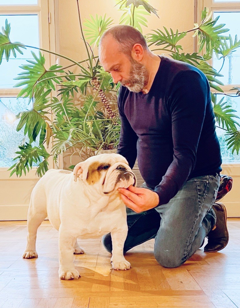 D'Or Wood Point blank - 2ème excellent classe ouverte mâle