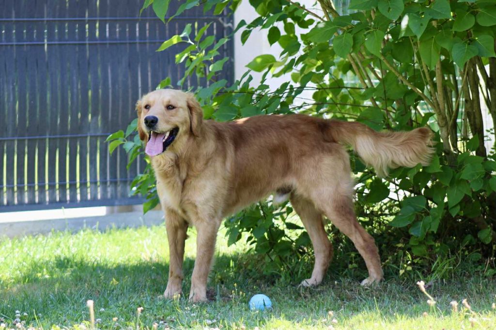 Urkann (Sans Affixe)