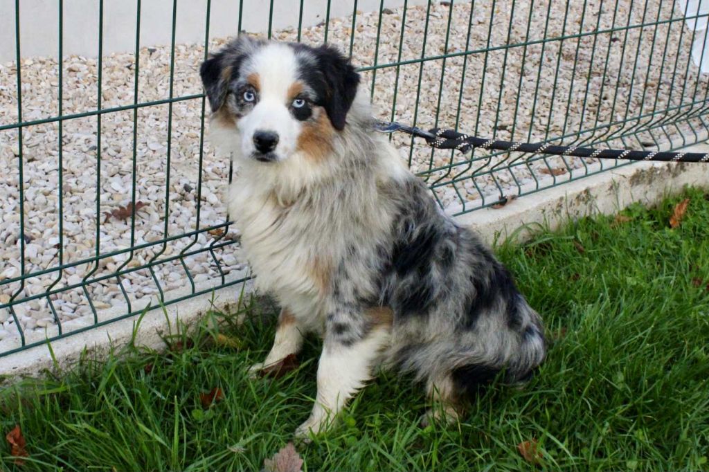 Cristal Du Domaine Des Belles Aubois