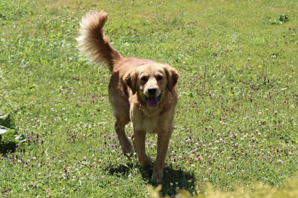 Urkann (Sans Affixe)