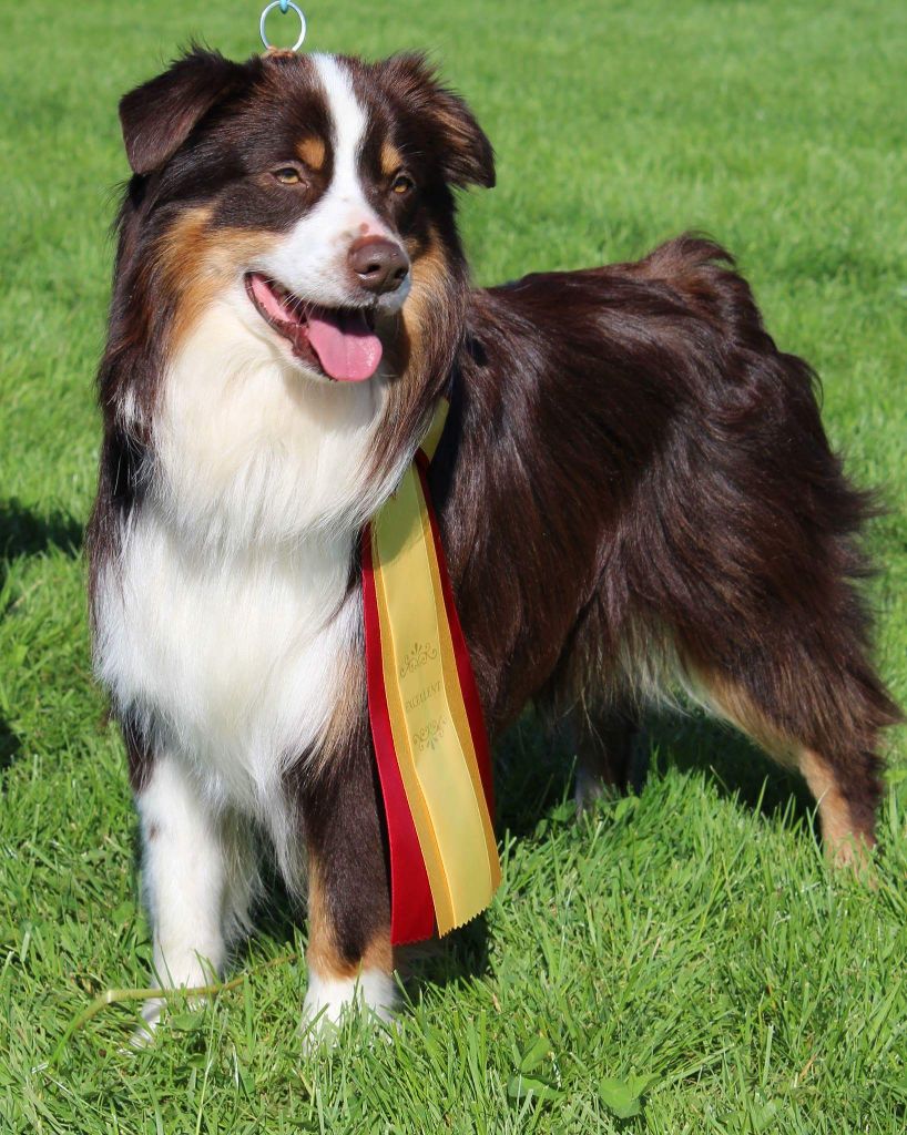 Publication : Du Domaine Des Belles Aubois