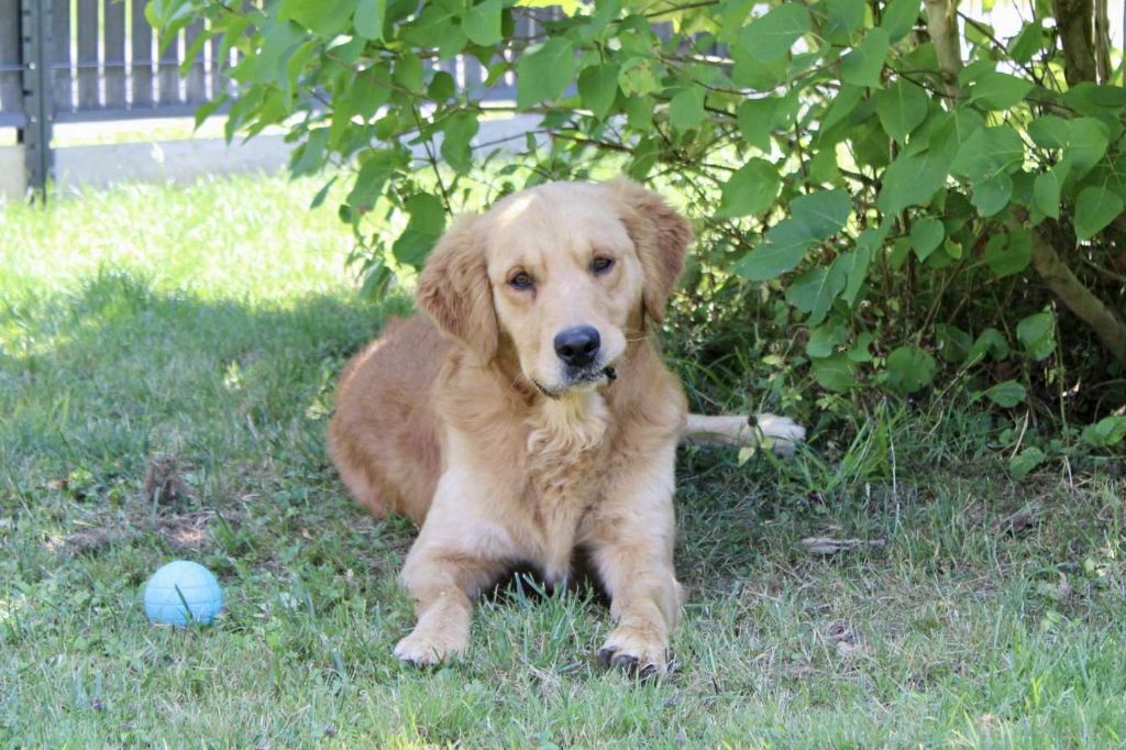 Urkann (Sans Affixe)