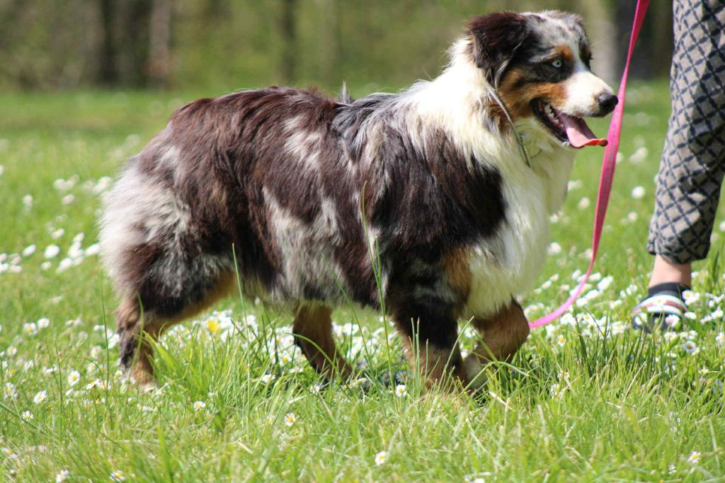 Publication : Du Domaine Des Belles Aubois