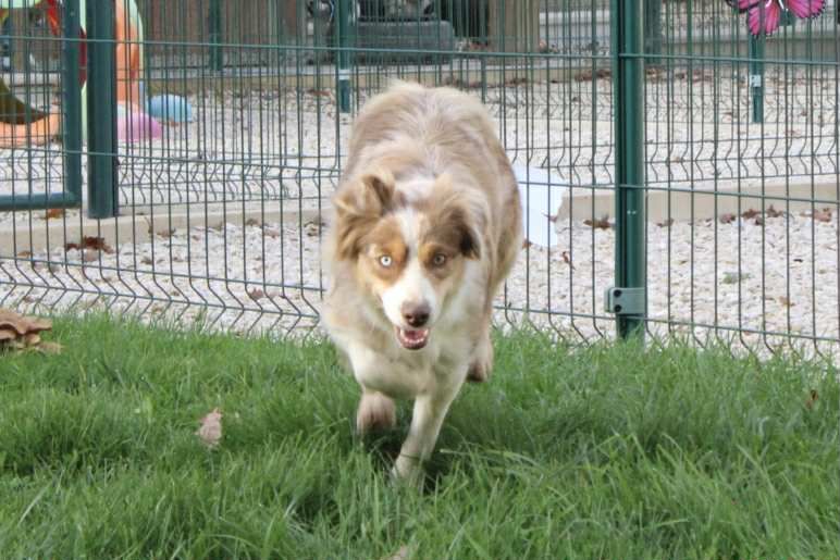 Yness Du Domaine Des Belles Aubois