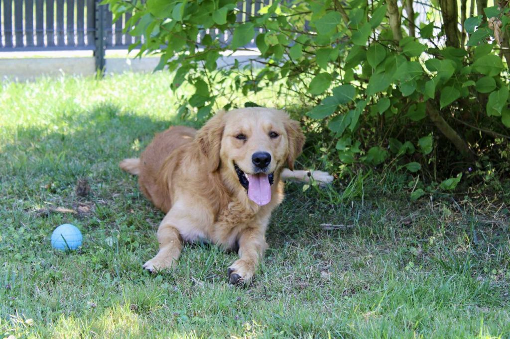 Urkann (Sans Affixe)