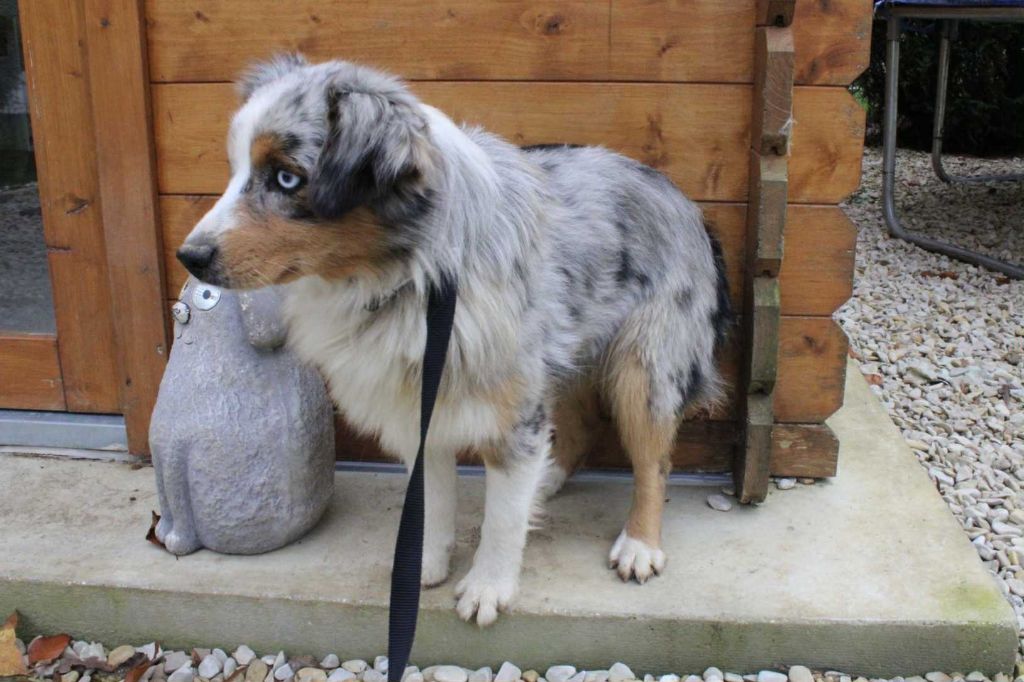 Agate Du Domaine Des Belles Aubois