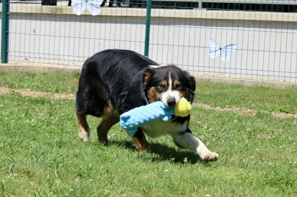 Publication : Du Domaine Des Belles Aubois Auteur : Auroux leonie