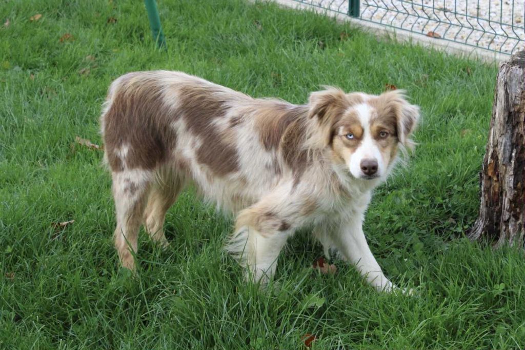 Yness Du Domaine Des Belles Aubois