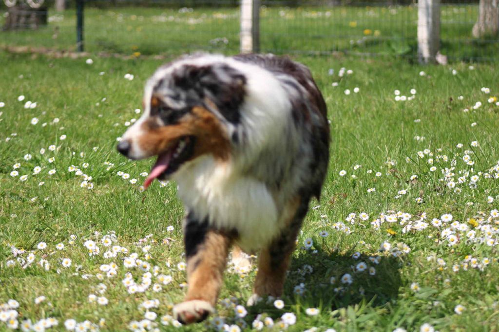 Publication : Du Domaine Des Belles Aubois