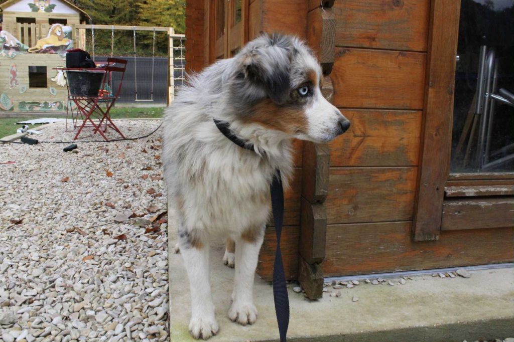 Agate Du Domaine Des Belles Aubois