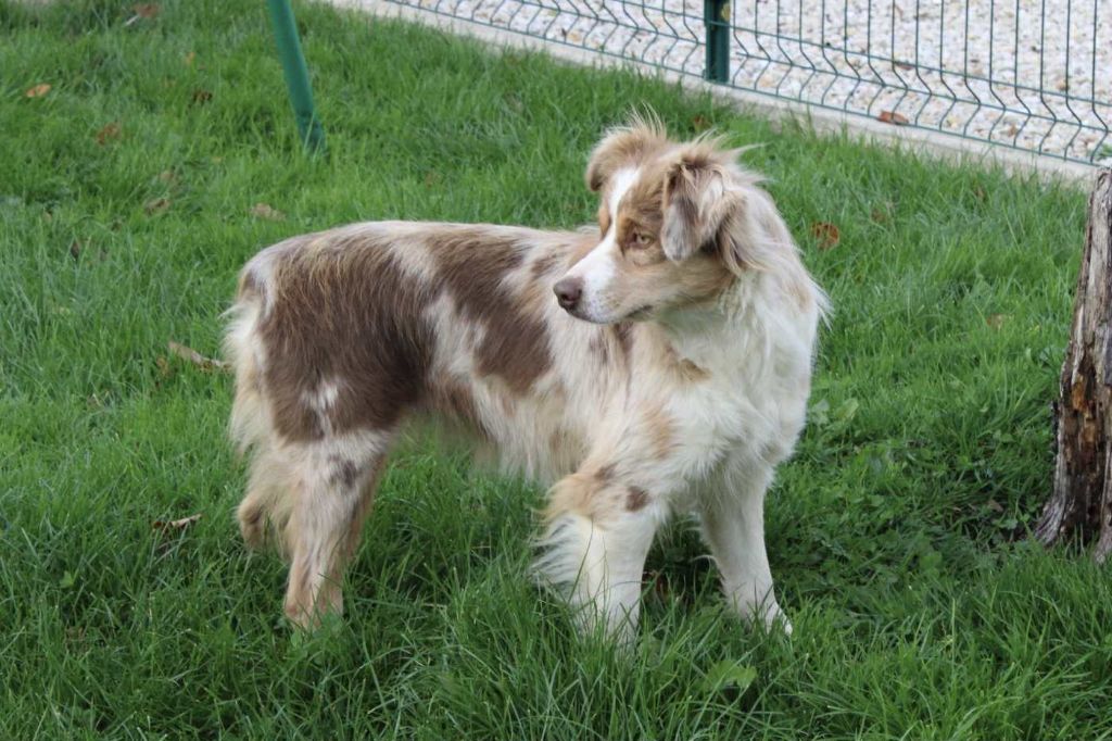 Yness Du Domaine Des Belles Aubois