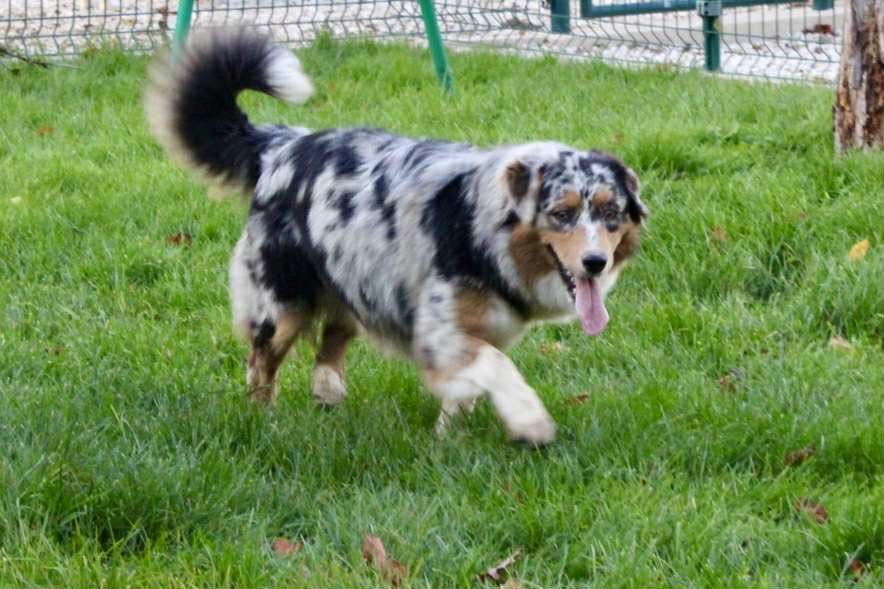 Vickie Du Domaine Des Belles Aubois