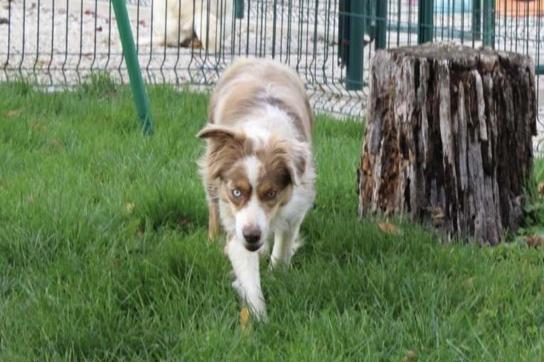 Yness Du Domaine Des Belles Aubois