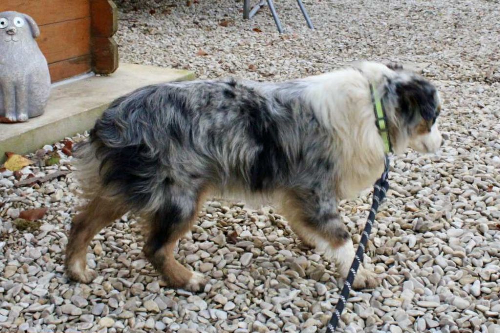 Cristal Du Domaine Des Belles Aubois