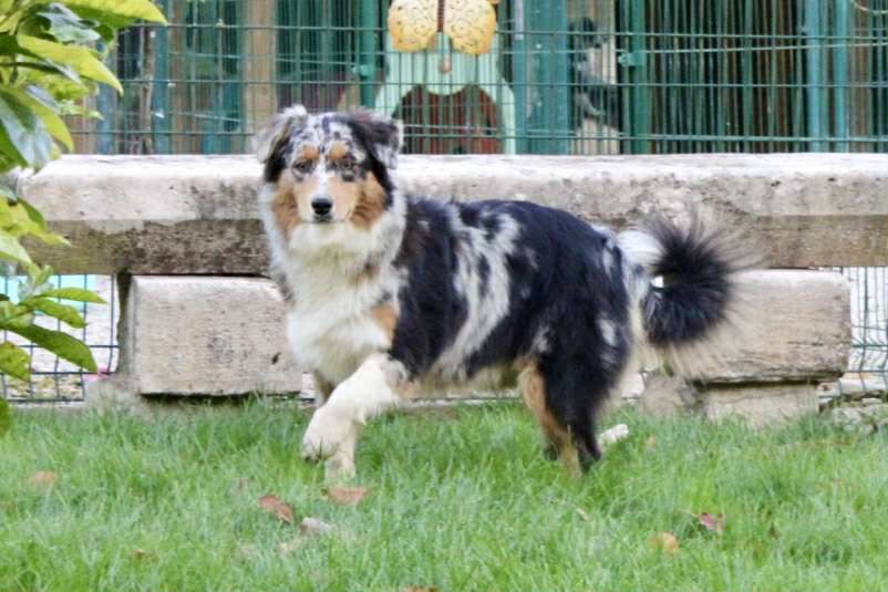 Vickie Du Domaine Des Belles Aubois