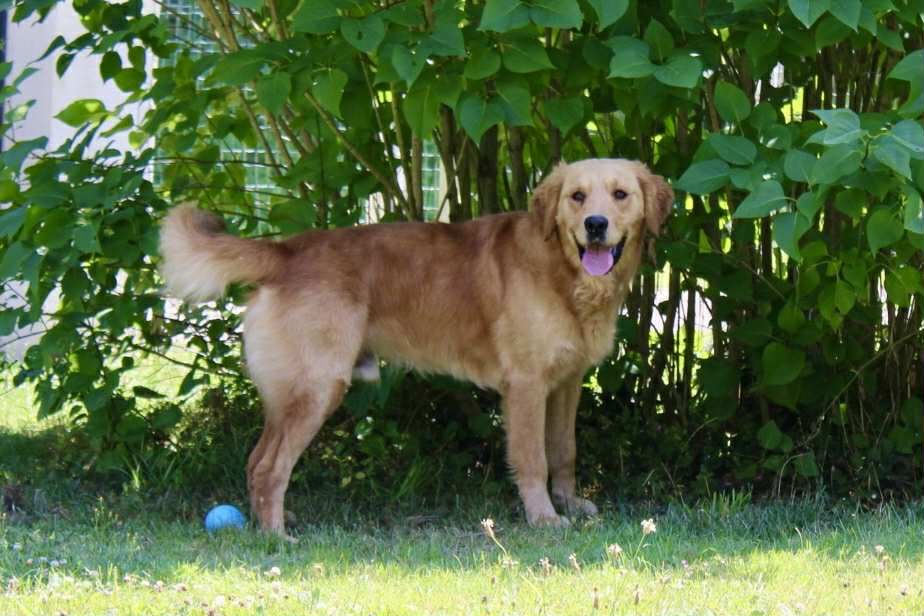 Urkann (Sans Affixe)